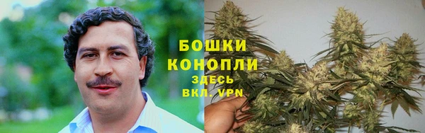 apvp Ветлуга