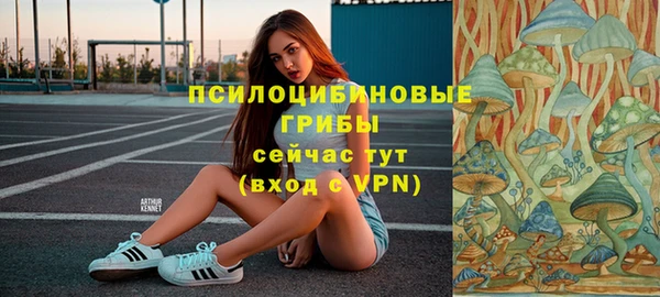 apvp Пестово